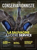 Conservationniste